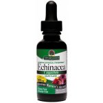Nature´s answer Holistické bylinné kapky Echinacea 30 ml – Hledejceny.cz