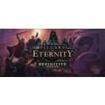 Pillars of Eternity (Definitive Edition) – Zboží Dáma