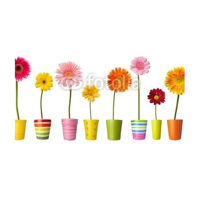 WEBLUX 28406687 Fototapeta papír flower nature garden botany daisy bloom pot květina příroda zahrada botanika sedmikráska květ květ rozměry 360 x 266 cm – Hledejceny.cz