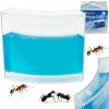 KIK Mravenčí akvárium modré