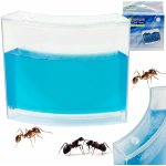 KIK Mravenčí akvárium modré – Zboží Mobilmania