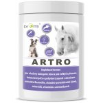 Dromy Artro FORTE 900 g – Zboží Dáma Dromy Artro FORTE 900 g – Zboží Dáma