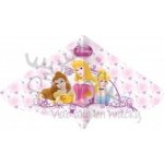 Günther DISNEY PRINCESS 115 x 63 cm – Hledejceny.cz