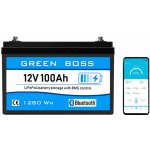 GREEN BOSS BLUE LiFePO4 baterie 12V 100Ah s bluetooth – Zboží Živě