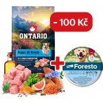 Ontario Puppy & Junior All Breeds Monoprotein Turkey & Sweet Potatoes 6,5 kg – Hledejceny.cz