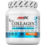 Amix Collagen Marine peptan drink tropical 300 g – Hledejceny.cz