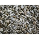 Avicentra Slunečnice žíhaná 1 kg – Zboží Dáma