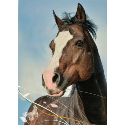 Pohlednice Kůň 92 – Zboží Dáma