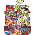 Pokémon TCG Obsidian Flames Booster Box – Sleviste.cz