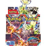 Pokémon TCG Obsidian Flames Booster Box – Zbozi.Blesk.cz