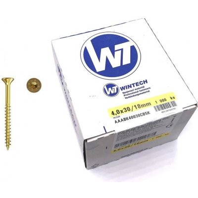 Wintech vrut 4,0x 30/18 torx, T20, bal 1000 ks AAABK40030CB5K