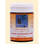 TCM Herbs Pevnost palácového pilíře 100 tablet – Sleviste.cz