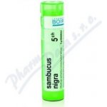 SAMBUCUS NIGRA POR 5CH GRA 4G – Hledejceny.cz