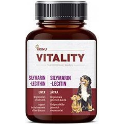 Akinu Vitality Silymarin-Lecitin 50 g – Zboží Mobilmania