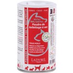 Ladybel France Suchý kartáčkový šampon 120 g – Zboží Mobilmania