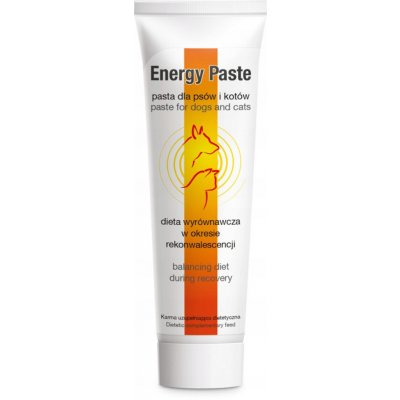 Dolfos Energy Pasta podpora rekonvalescence a vitality 100 g – Hledejceny.cz
