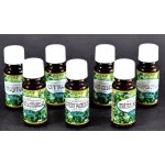 Saloos esenciální olej Černý rybíz 10 ml – Zboží Dáma