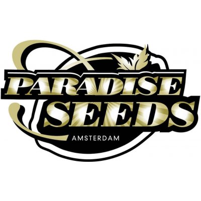 Paradise seeds Kong 4 semena neobsahují THC 1 ks