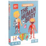 APLI kids magnetická logická hra Lidské tělo – Hledejceny.cz