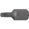 Bity Bit XZN M5 x 30 mm, 10 mm zatíž. do 5 kg BGS 104850