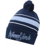 Airwalk City beanie mens New York Stripe – Hledejceny.cz