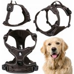 Truelove Postroj pro psa – Zbozi.Blesk.cz