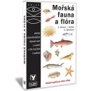 OKO Mořská fauna a flóra