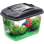 Aquael Betta Kit 3 l – Zboží Mobilmania