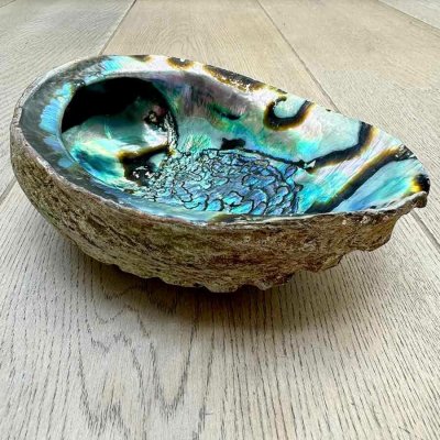 Matoska Vykuřovací mušle Abalone – Hledejceny.cz