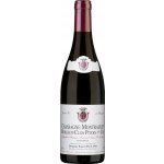 Domaine Roger Belland Chassagne Montrachet Premier Cru Morgeot Clos Pitois 2023 Červené 13,5% 0,75 l (holá láhev) – Hledejceny.cz
