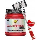 BSN Glutamine DNA 309 g