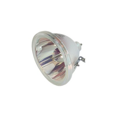 Lampa pro projektor TOSHIBA TY-G3E, originální lampa bez modulu – Zboží Mobilmania