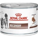 Royal Canin Veterinary Diet Cat & Dog Recovery 195 g – Sleviste.cz