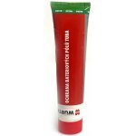 Würth Ochrana bateriových pólů tuba 100 ml – Sleviste.cz