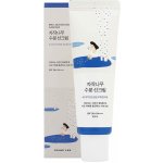 Round Lab Birch Juice Moisturizing Sun Cream SPF50+PA++++ hydratační opalovací krém 50 ml – Zboží Dáma