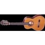 Ortega R122L – Sleviste.cz