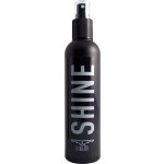 Mister B Shine 200ml – Zboží Mobilmania