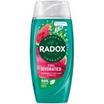Radox Refreshment Menthol osvěžující sprchový gel pro muže 225 ml – Hledejceny.cz