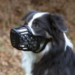 Trixie Náhubek z umělé hmoty XS - 15 cm Yorkshire Terrier – Zboží Mobilmania