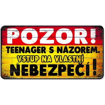 Nekupto Plechová cedulka Teenager s názorem – Zboží Dáma