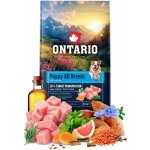 Ontario Puppy & Junior All Breeds Monoprotein Turkey & Sweet Potatoes 6,5 kg – Hledejceny.cz