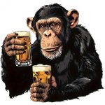 Vinylová samolepka - šimpanz na pivu (16,0 x 15,5 cm) – Sleviste.cz