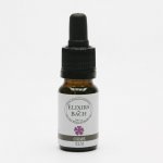 Bachovy květové Bio esence Jilm štíhlý Elm 10 ml – Hledejceny.cz