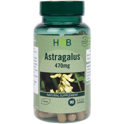 Holland & Barrett Astragalus 470 mg 90 kapslí – Hledejceny.cz