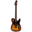 Elektrická kytara ESP LTD TE-200