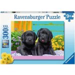 Ravensburger 129508 Roztomilá mláďata 300 dílků – Hledejceny.cz