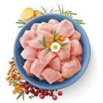 Carnilove True Fresh Turkey 4,8 kg – Zboží Dáma