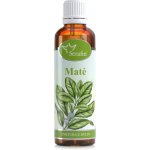 Serafin tinktura z bylin Maté 50 ml – Hledejceny.cz