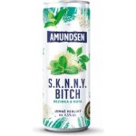Amundsen + Soda bezinka 6% 0,25 l (plech) – Hledejceny.cz