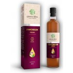 Green idea Lymforegen premium 500 ml – Hledejceny.cz
